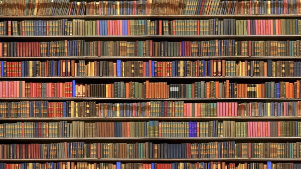 1663134603_19-furman-top-p-fon-biblioteka-dlya-fotoshopa-krasivo-19.jpg